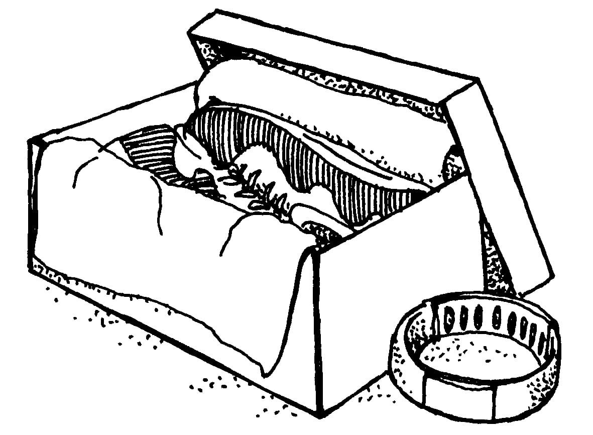 A black-and-white line drawing of an open shoebox containing a pair of running shoes nestled in tissue paper. A fitness tracker band sits on the ground beside the box.