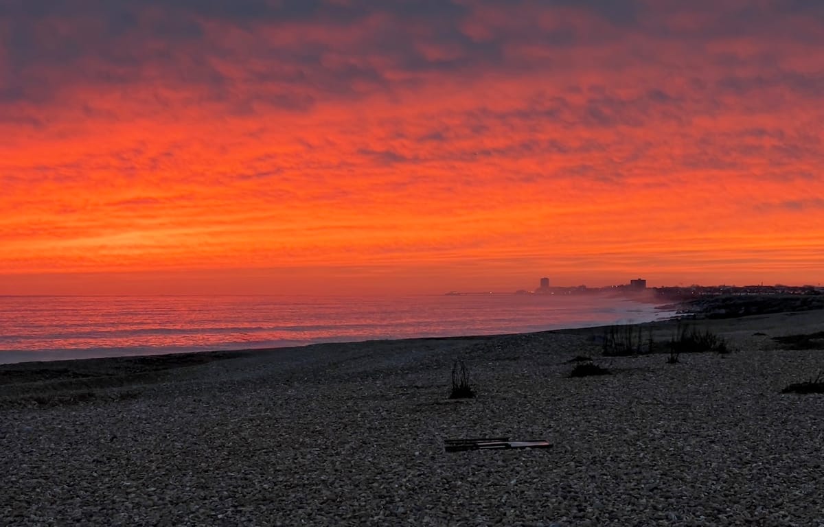 Your February issue of ShoreLine is here