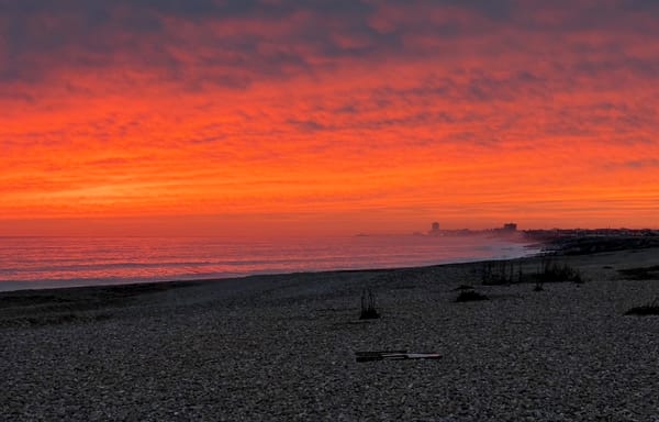 Your February issue of ShoreLine is here