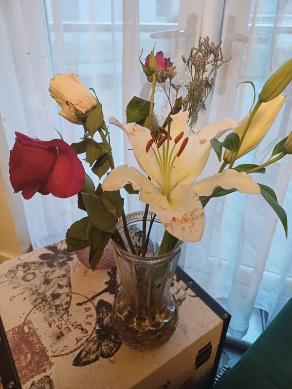 The Lily and the Red Red Rose